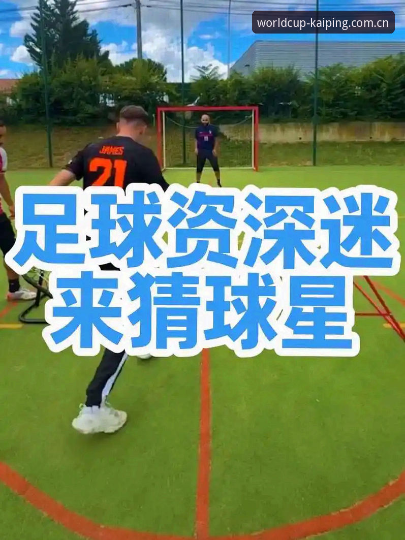 揭秘世界杯官网安装失败背后的真相，资深用户为你排雷